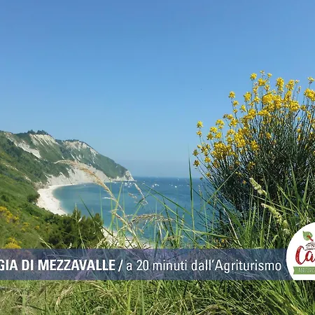 Ca' Poldo アンコーナ