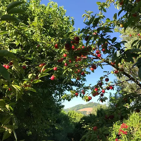 Ca' Poldo Farmház *